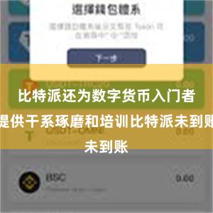 比特派还为数字货币入门者提供干系琢磨和培训比特派未到账
